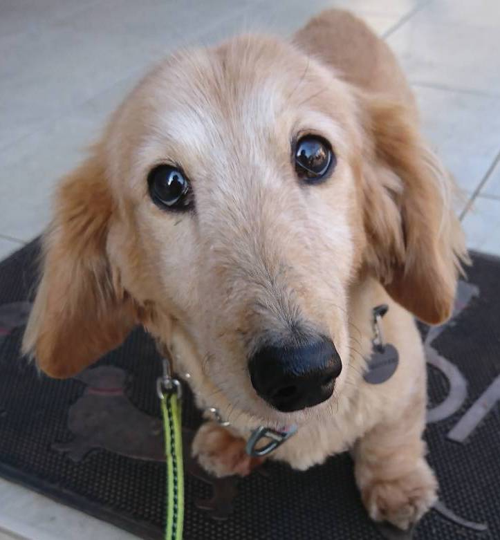 写真：来我(ライ)君