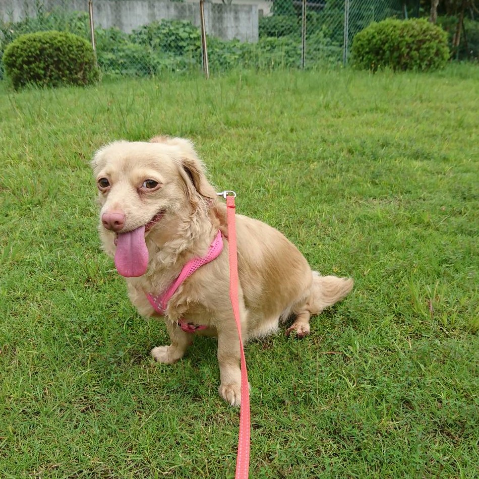 写真：ウミちゃん
